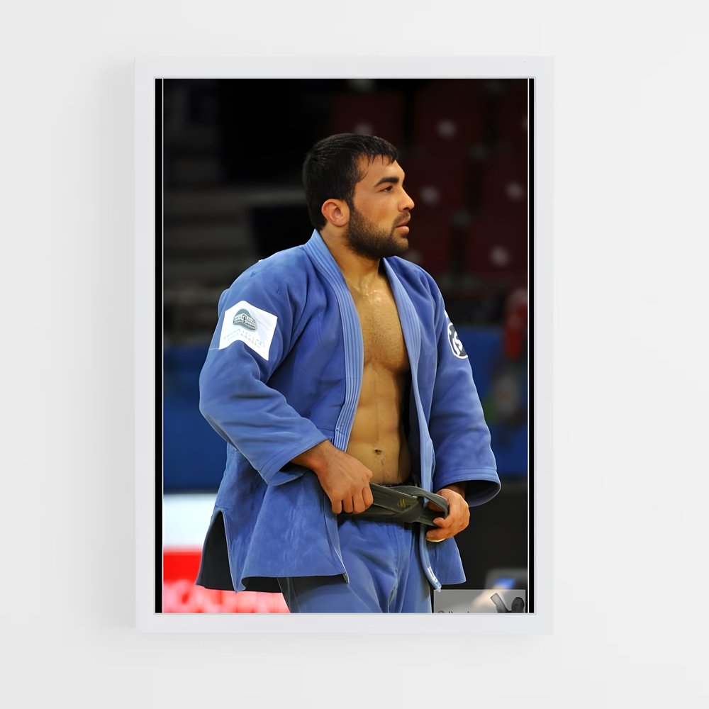 Poster Judo Champion (vue 3)